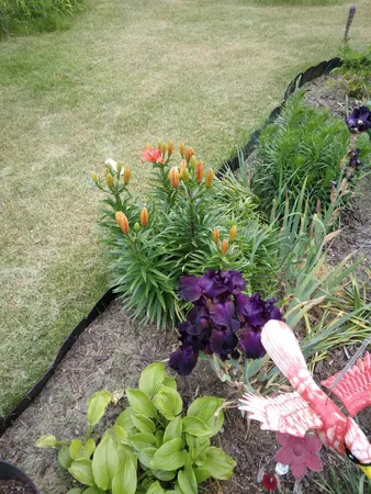 $199,900 | 14 5th Street, Morley, MI 49336