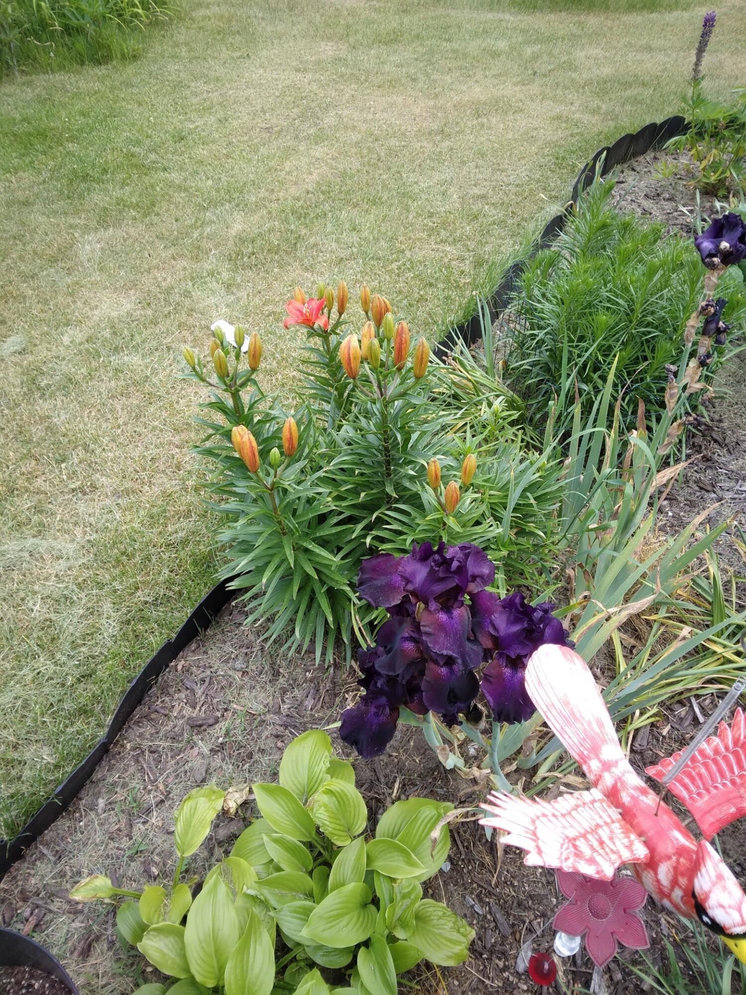 14 5th Street Morley, MI 49336 - Photo 18 of 51 20250616_153909_resized