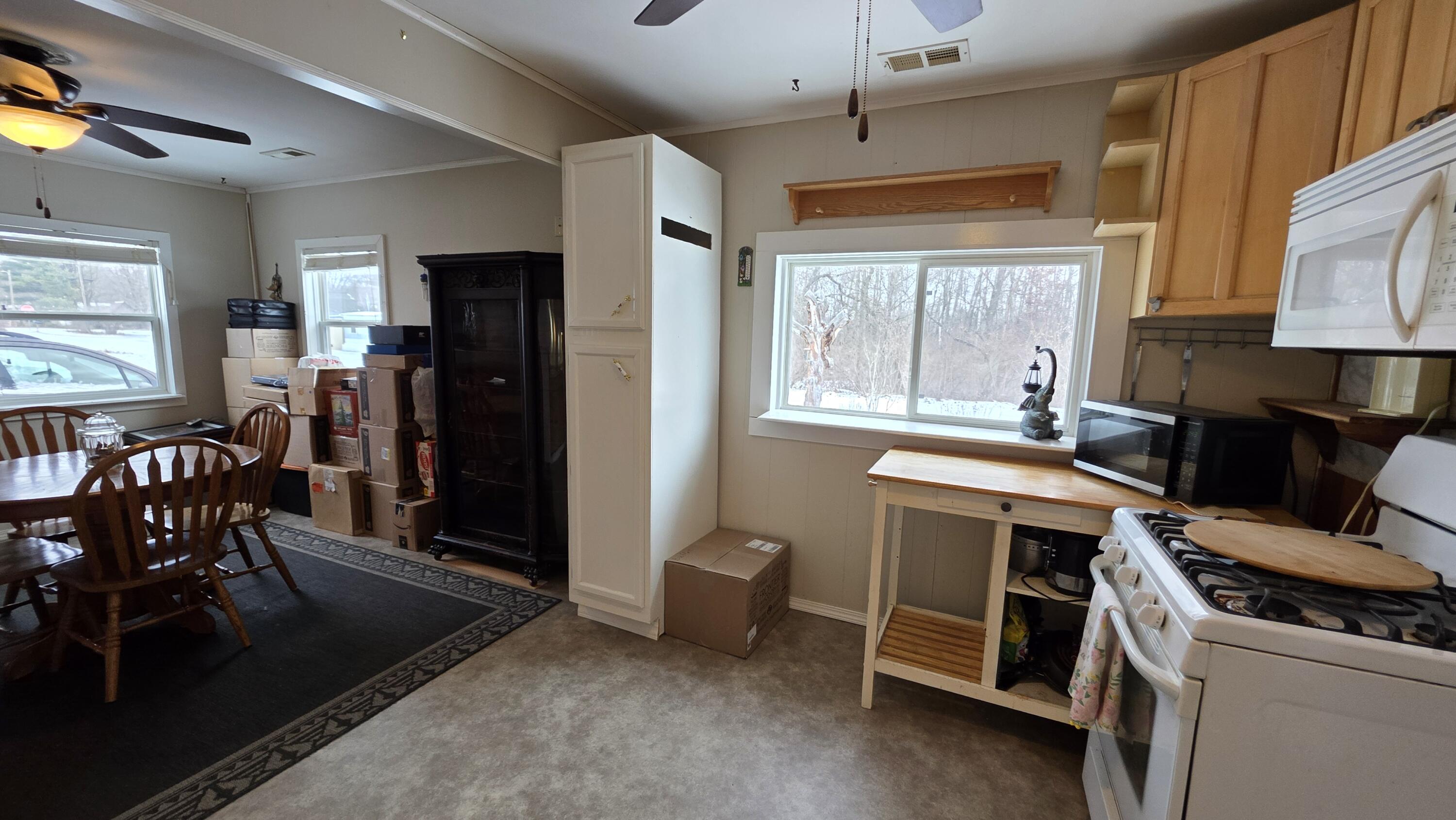 14 5th Street Morley, MI 49336 - Photo 26 of 51 20260222_104455