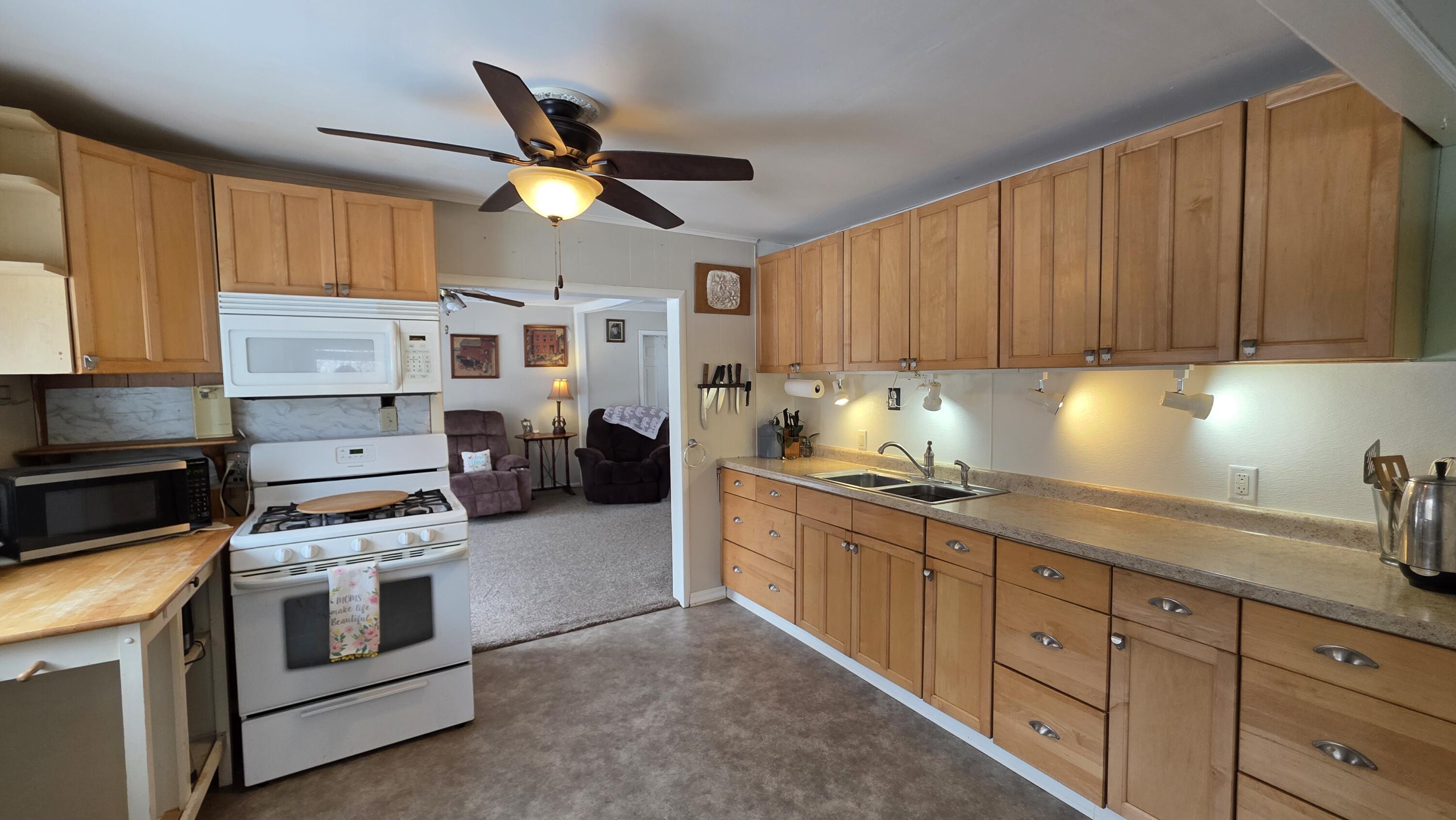 14 5th Street Morley, MI 49336 - Photo 29 of 51 20260222_104544