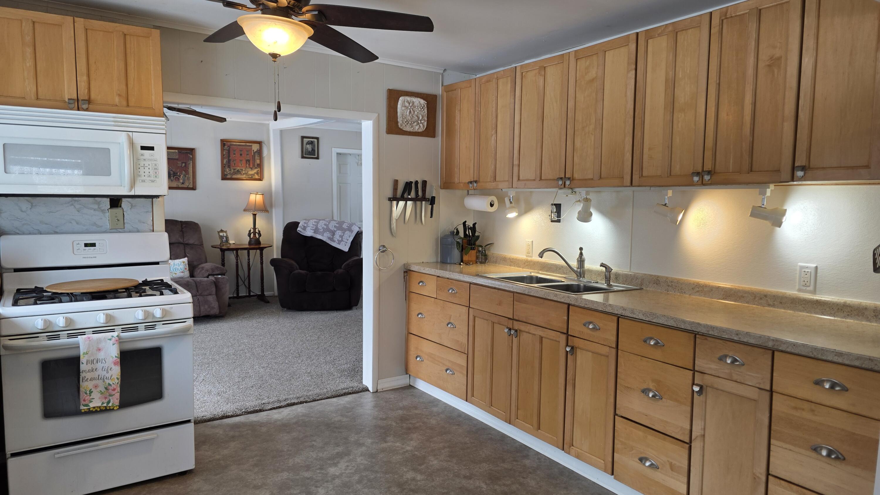 14 5th Street Morley, MI 49336 - Photo 30 of 51 20260222_104622