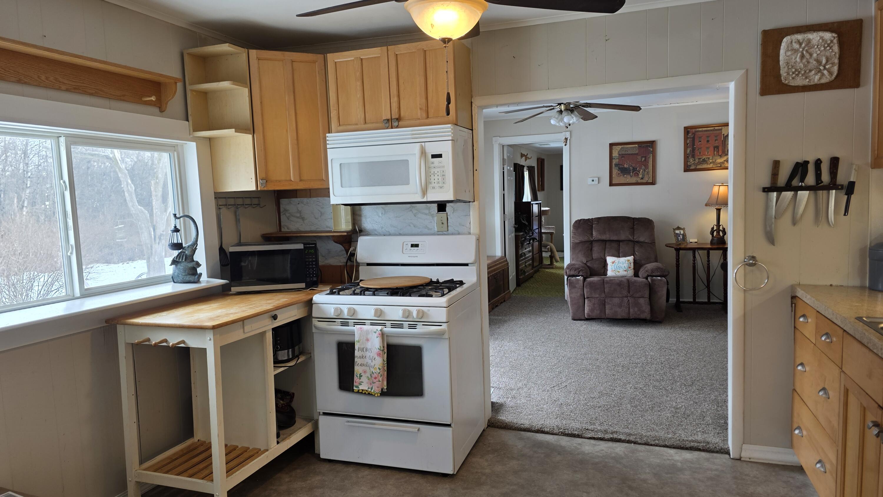 14 5th Street Morley, MI 49336 - Photo 31 of 51 20260222_104630