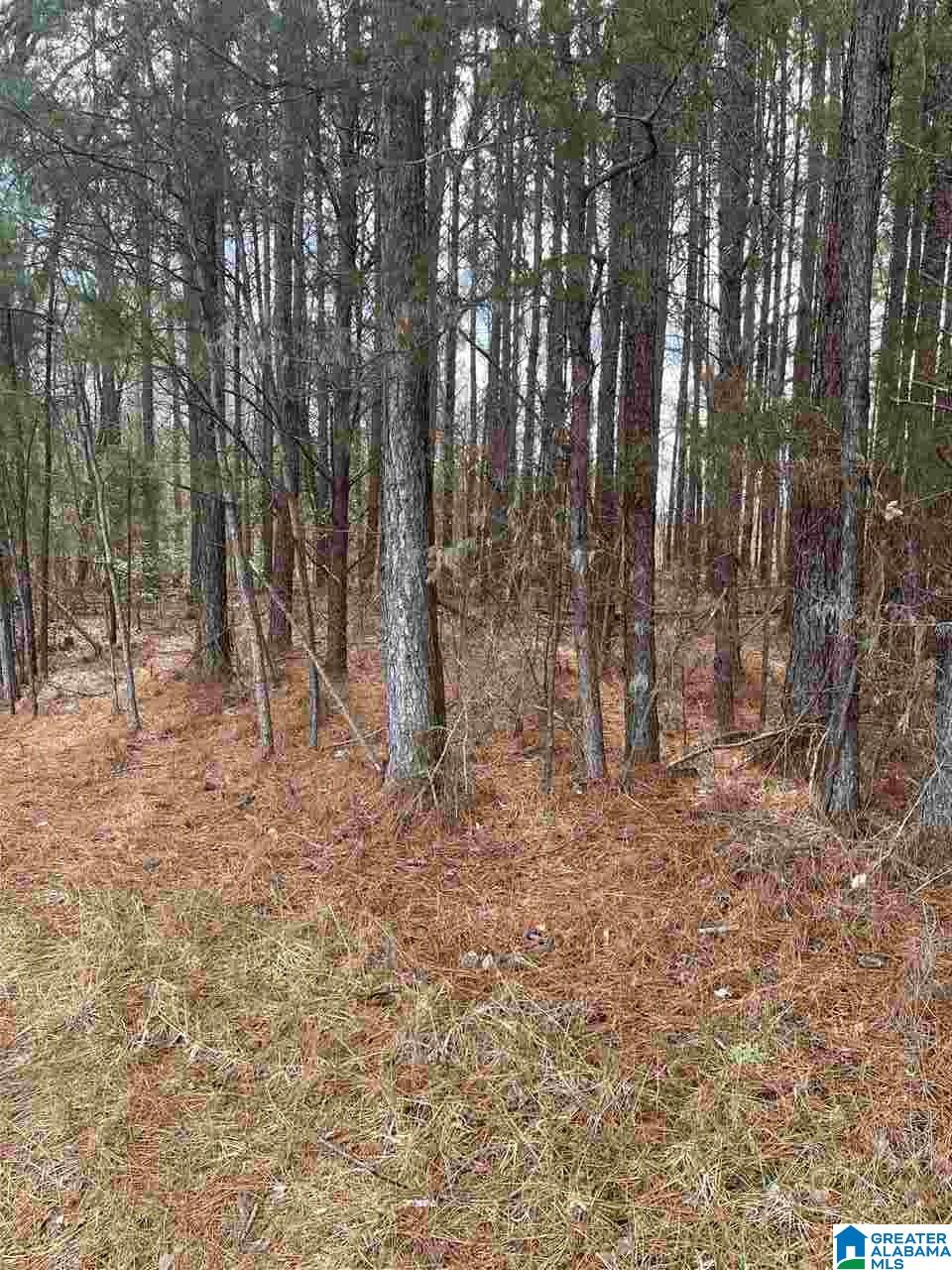 3396 Woodruff Mill Road, Unit 6 Adamsville, AL 35005 - Photo 3 of 5