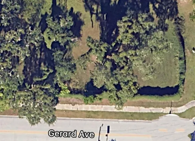 a view of folding tree