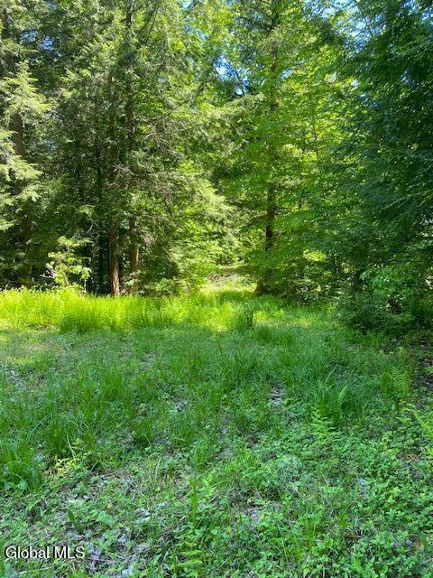 55 Fodder Road Stony Creek, NY 12878 - Photo 7 of 13 Clearing to drive