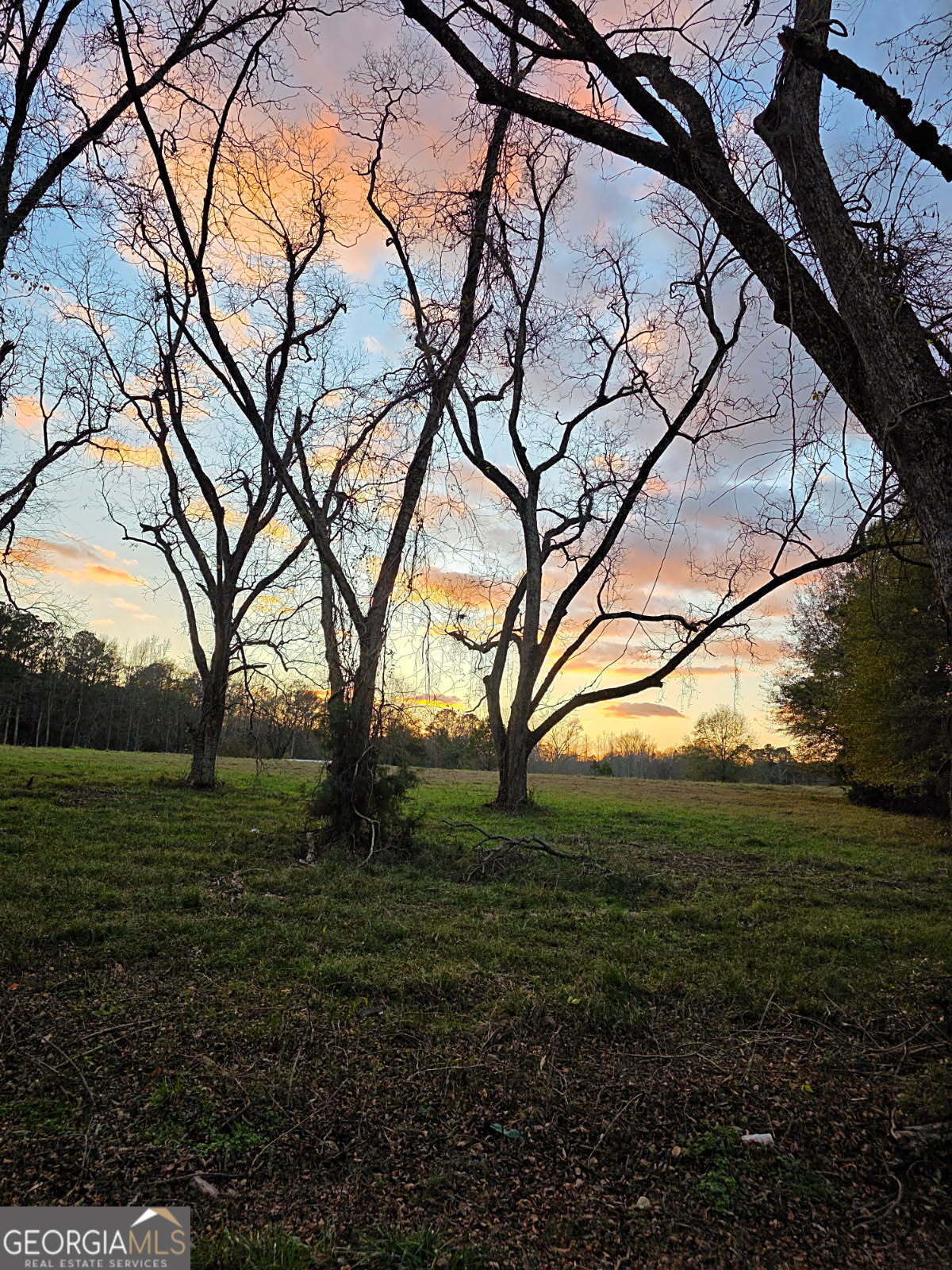 0 Bankston Road Meansville, GA 30256 - Photo 13 of 13 a view of yard with large trees