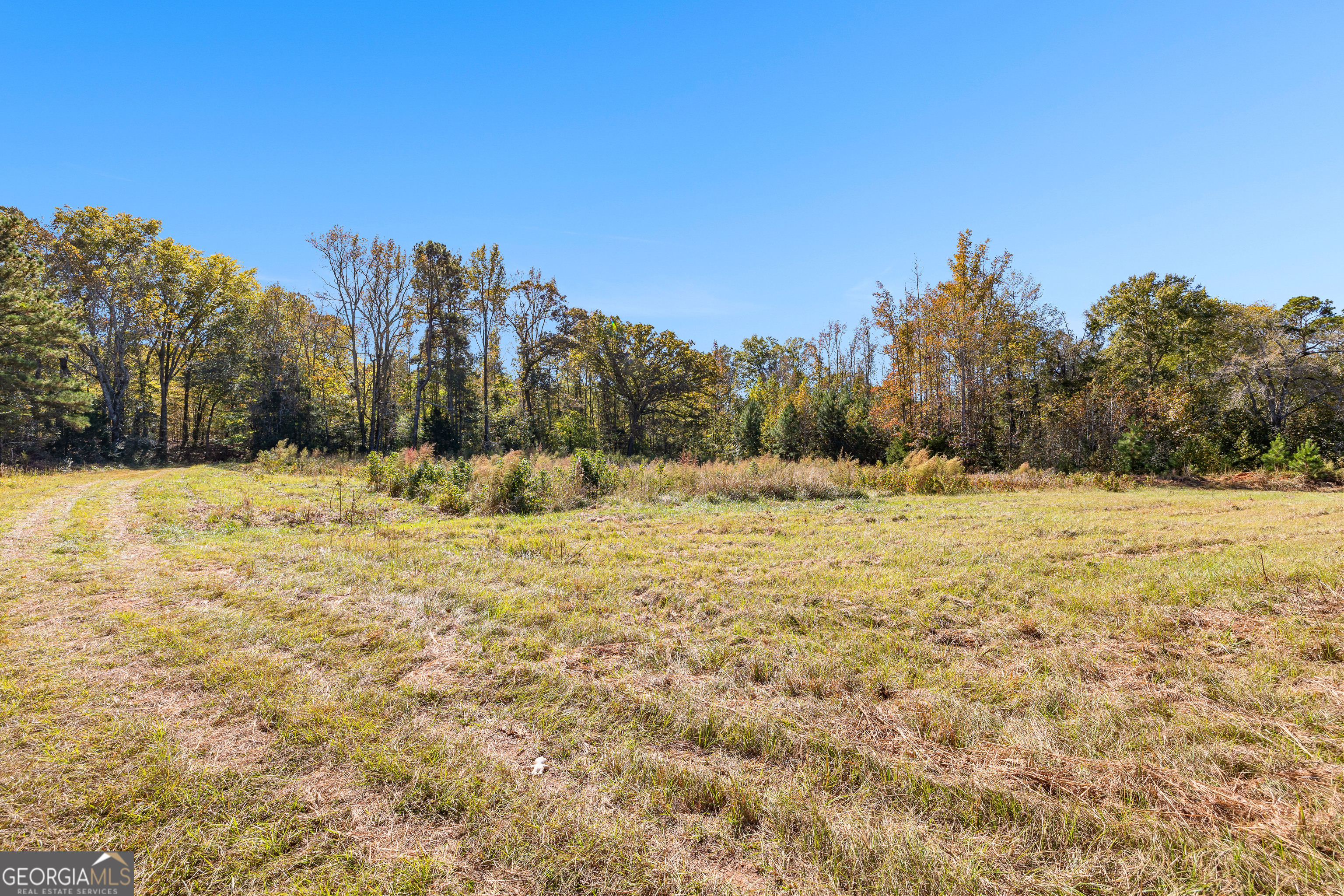 0 Bankston Road Meansville, GA 30256 - Photo 2 of 13 a view of a yard covered with snow in front of house