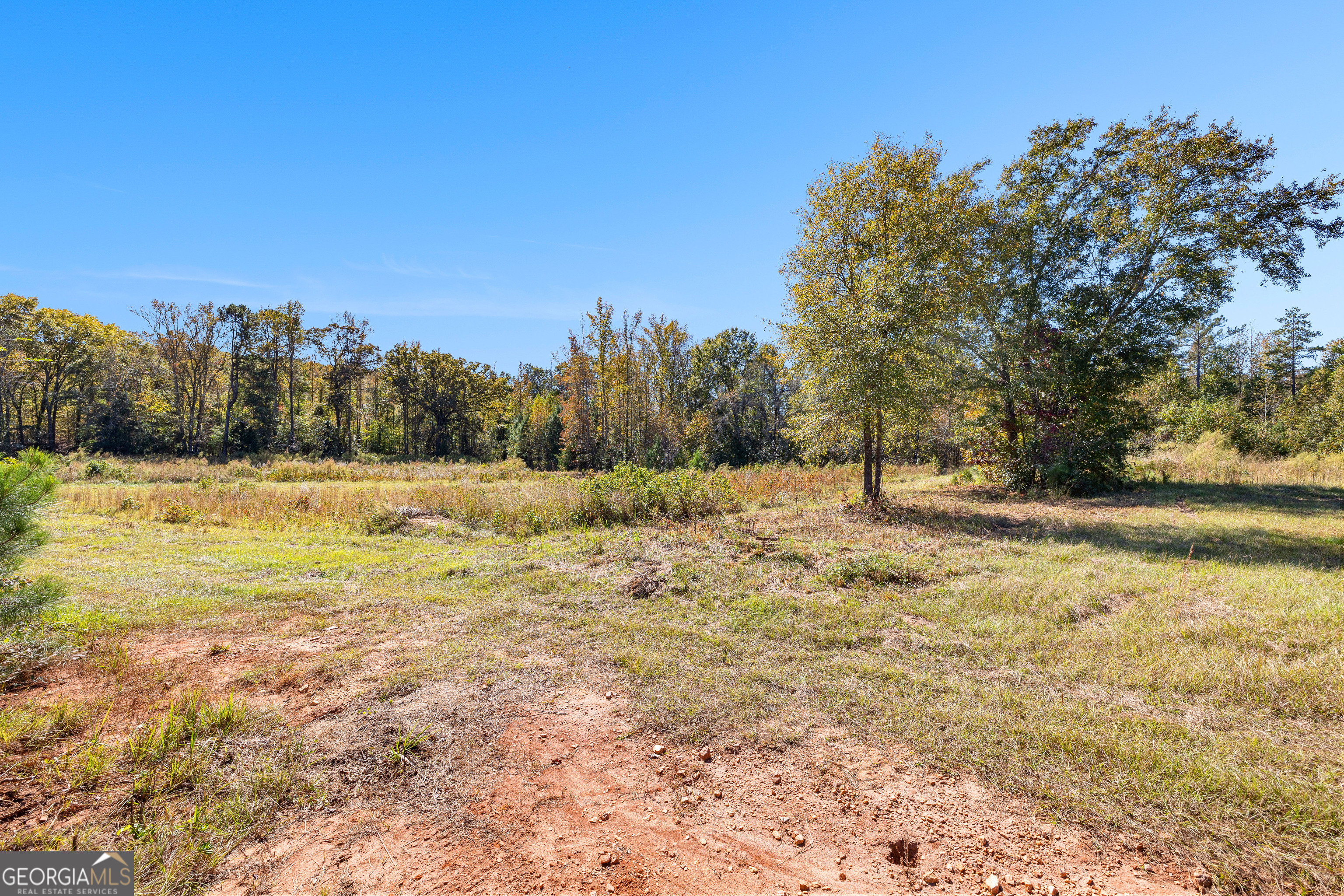 0 Bankston Road Meansville, GA 30256 - Photo 3 of 13 a view of a yard with trees