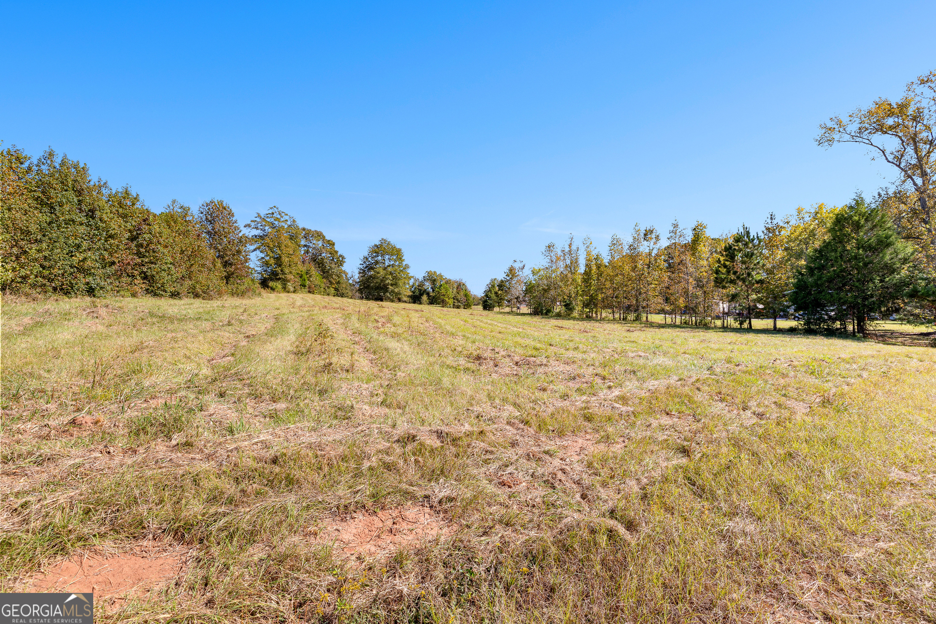 0 Bankston Road Meansville, GA 30256 - Photo 4 of 13 a view of a field with trees in the background