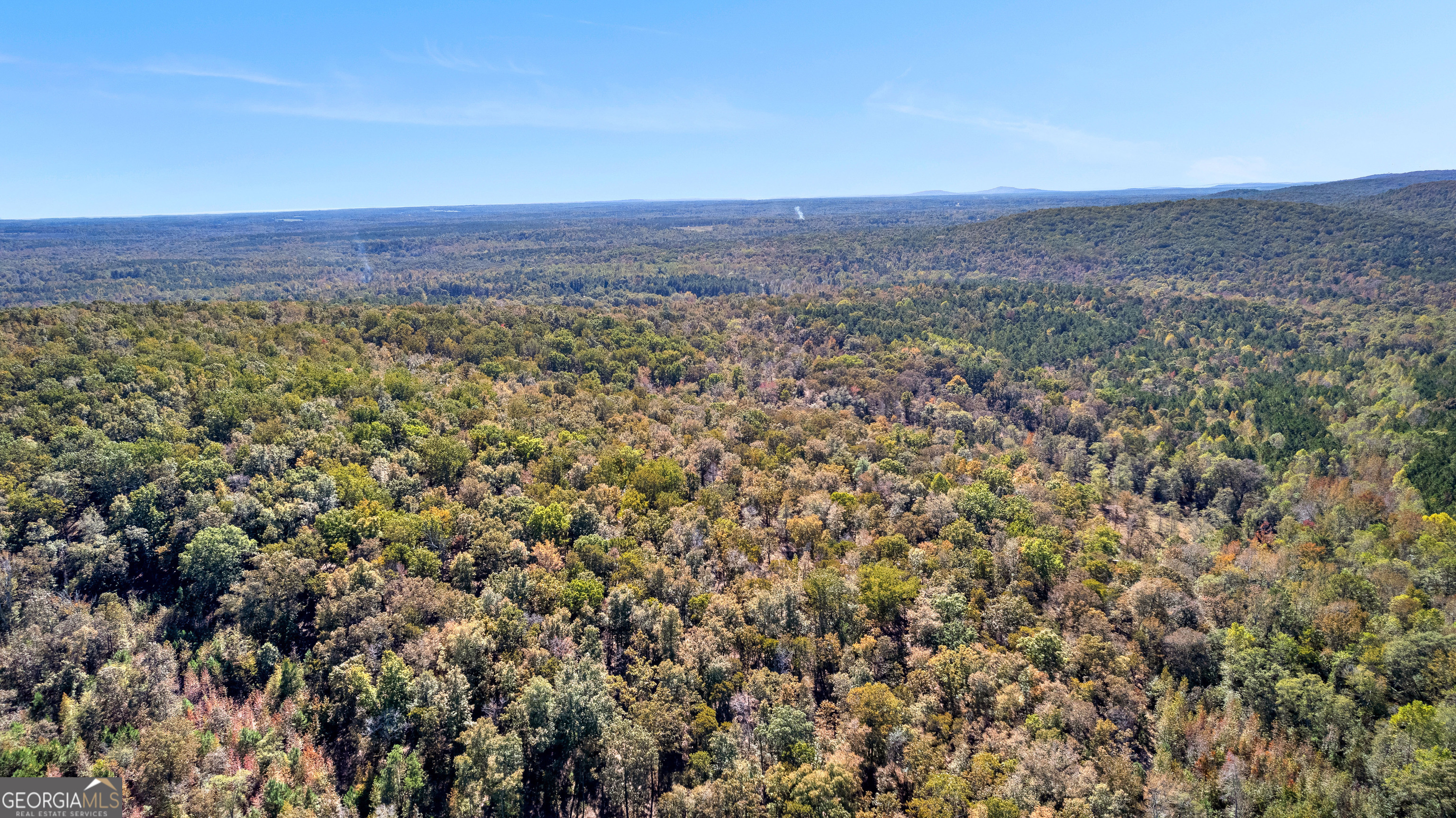 0 Bankston Road Meansville, GA 30256 - Photo 7 of 13 a view of a large tree with green field in front of it