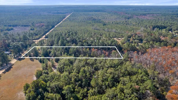 a view of a balcony with wooden floor and a forest