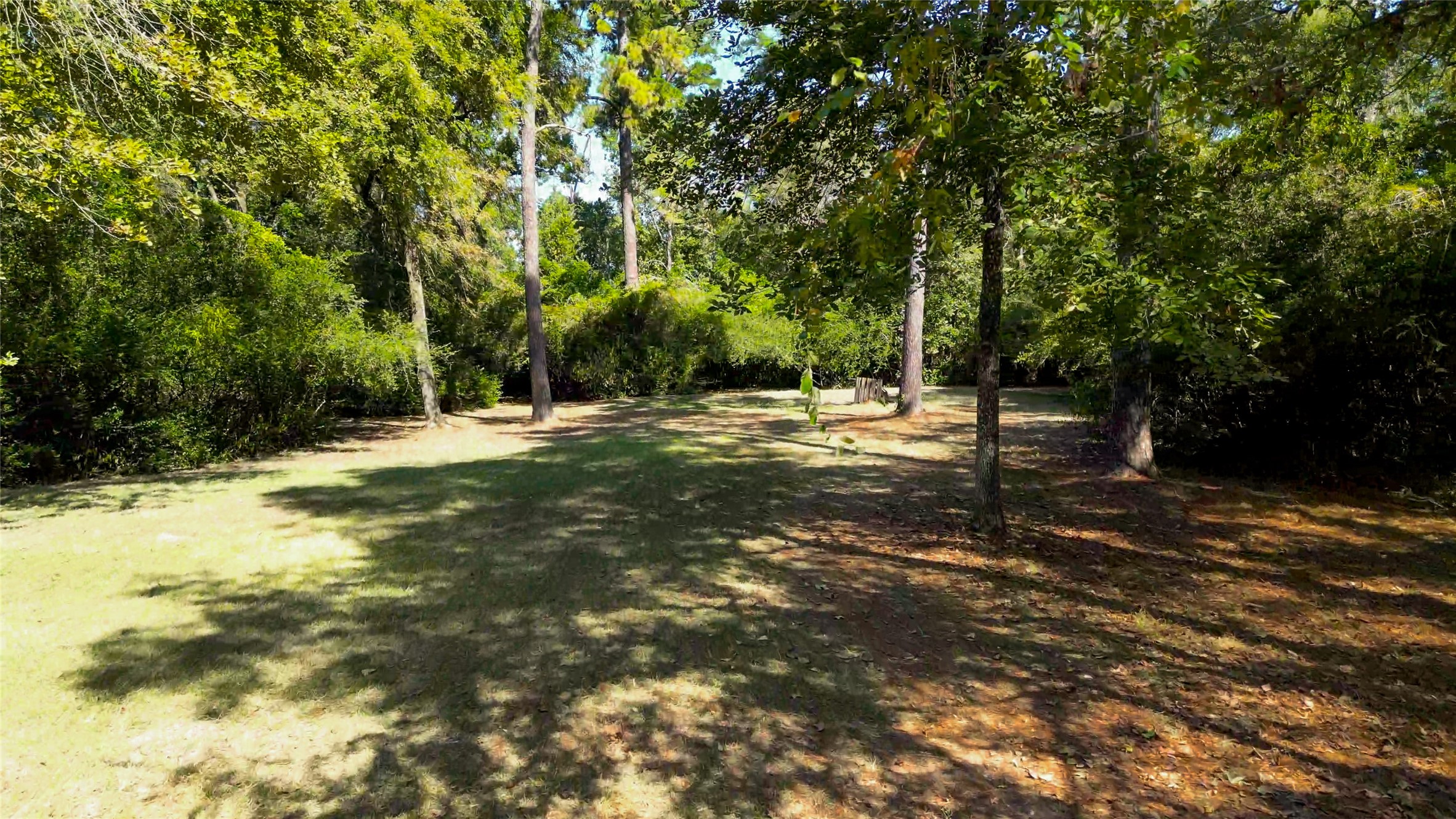 1535 Spring Hills Drive Spring, TX 77386 - Photo 11 of 44 Plenty of additional space beyond the tree line, or keep it as your own private forest—the choice is yours.