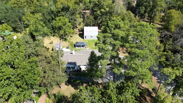 a view of a park with large trees
