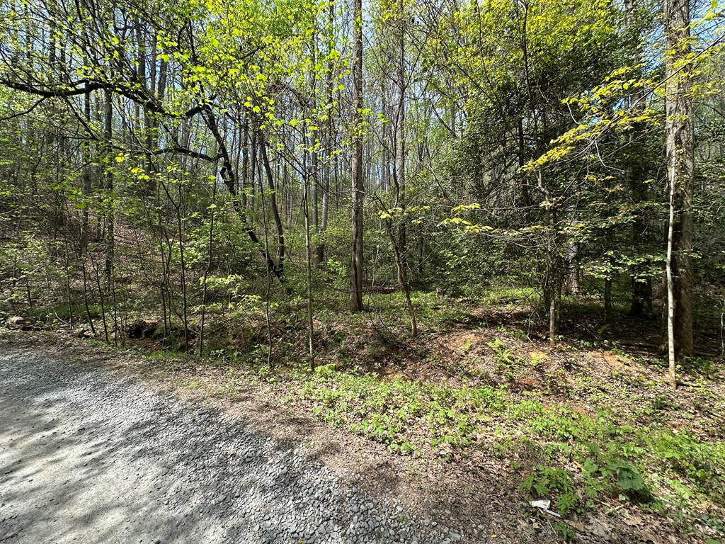 Lot 20 Big Ben Road Ellijay, GA 30540 - Photo 4 of 8