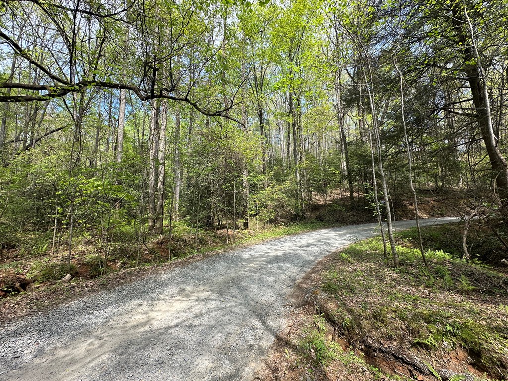 Lot 20 Big Ben Road Ellijay, GA 30540 - Photo 7 of 8