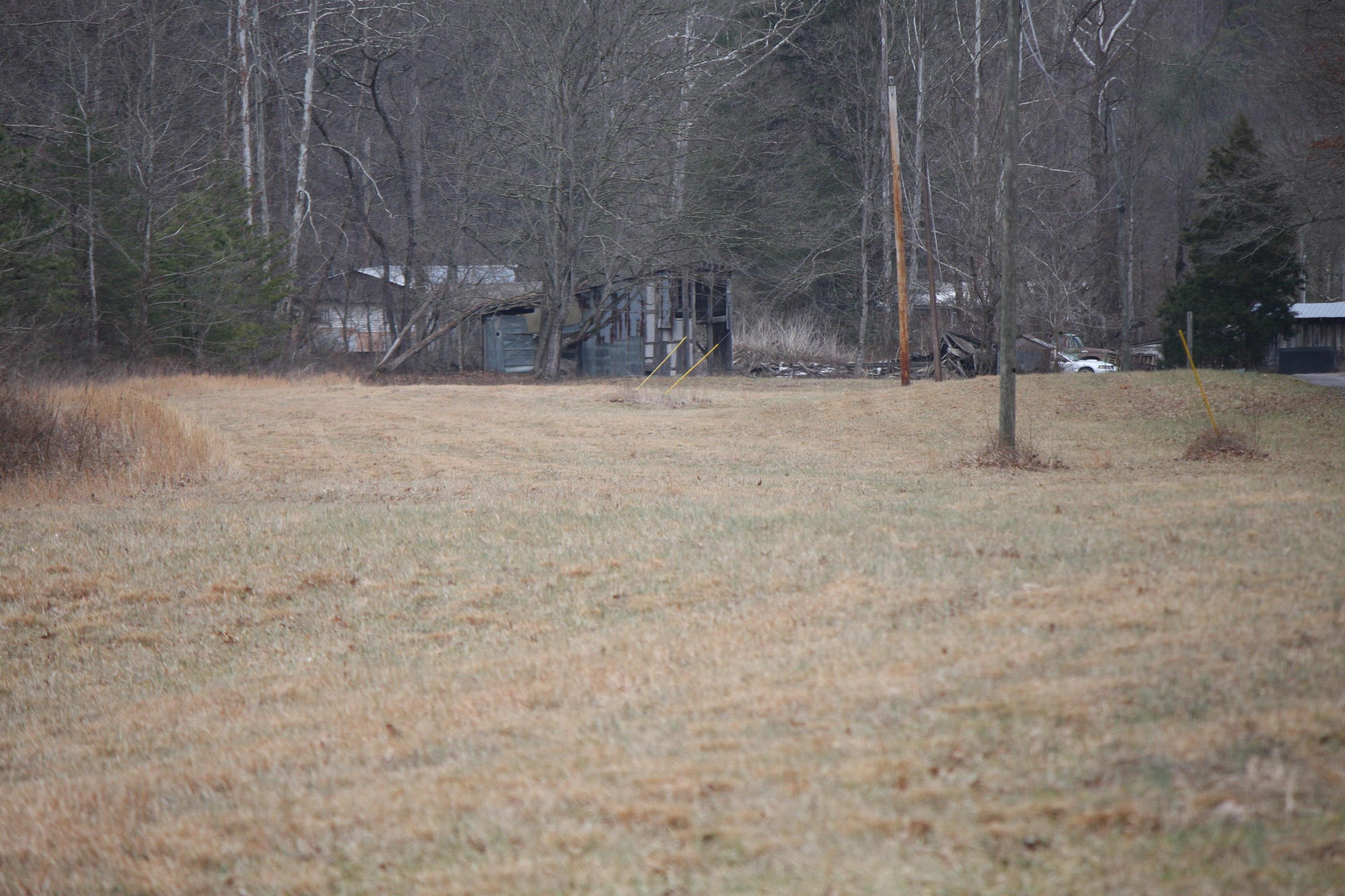 Boone Branch Road Garrison, KY 41141 - Photo 4 of 19