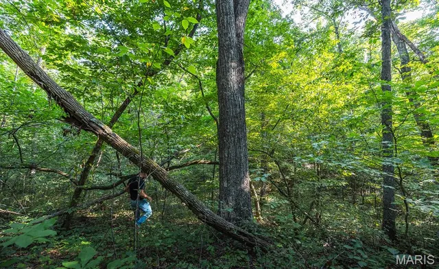 $119,970 | Lot #6-00 Lot#6-00 Donegal, Warrenton, MO 63383