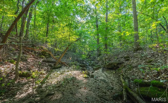 $119,970 | Lot #6-00 Lot#6-00 Donegal, Warrenton, MO 63383