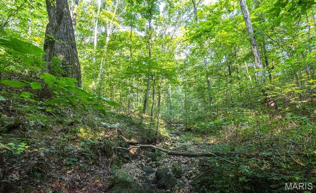 $119,970 | Lot #6-00 Lot#6-00 Donegal, Warrenton, MO 63383