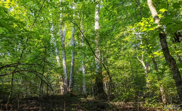 $119,970 | Lot #6-00 Lot#6-00 Donegal, Warrenton, MO 63383