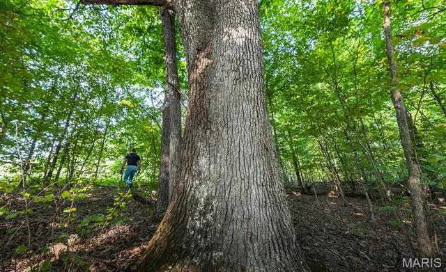 $119,970 | Lot #6-00 Lot#6-00 Donegal, Warrenton, MO 63383