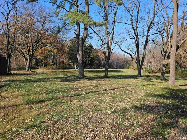 a view of dirt field with trees