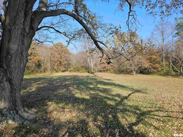 a view of yard with tree in the background