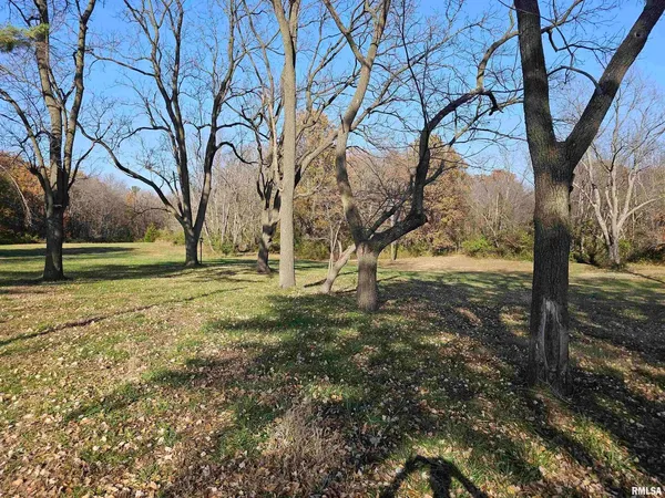 a view of yard with tree
