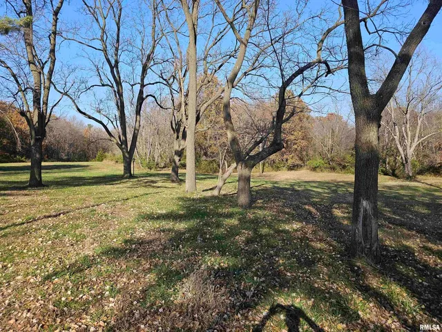 a view of yard with tree