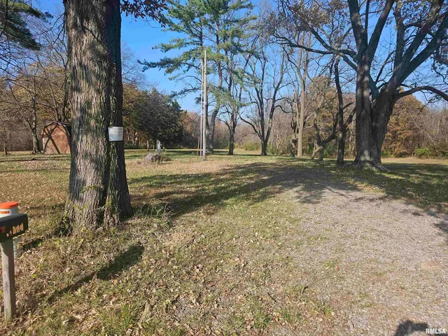 a view of a yard with trees
