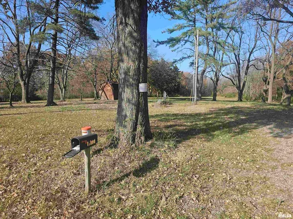 a view of a yard with tree s