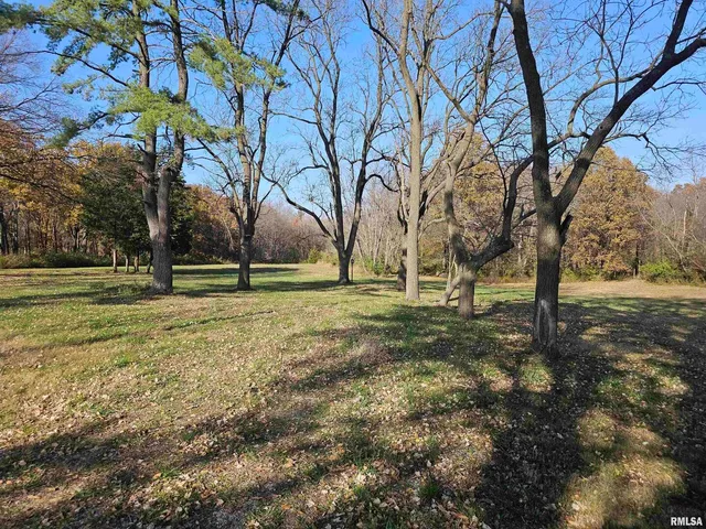 a view of outdoor space with trees all around