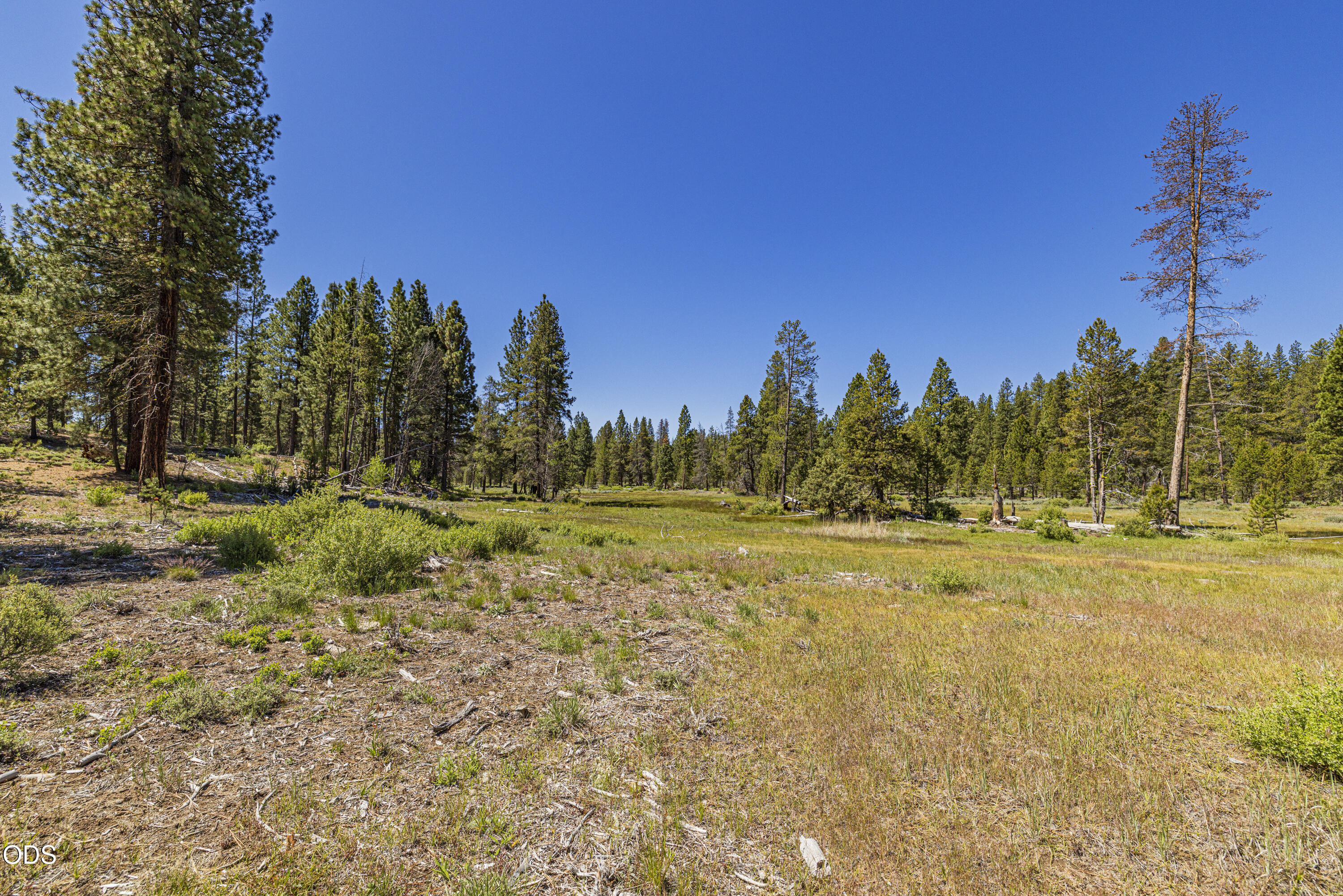 Williamson River Road, Unit 206226 Chiloquin, OR 97624 - Photo 36 of 50