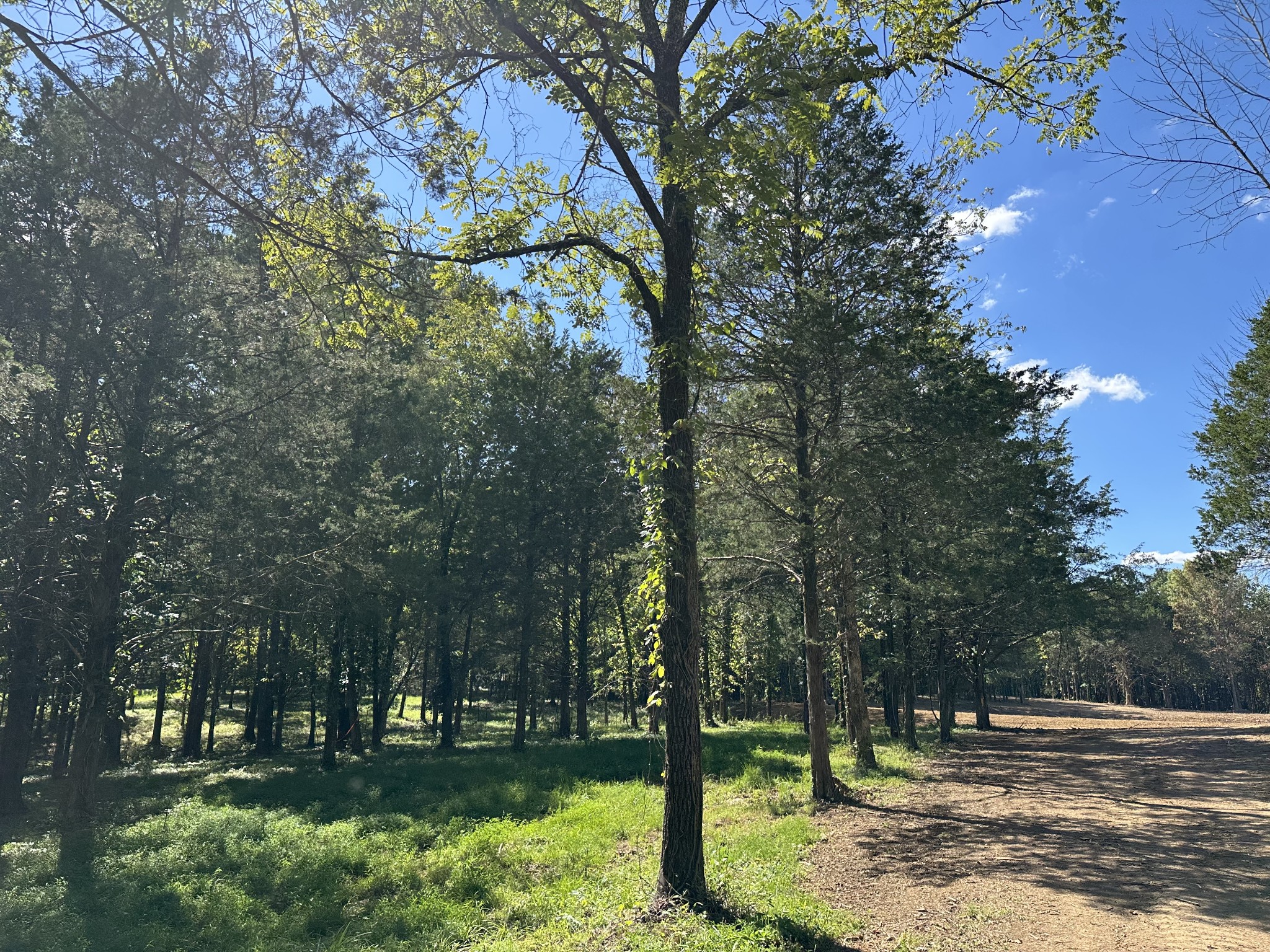 0 Atkinson Road Lebanon, TN 37090 - Photo 13 of 53 a view of a park