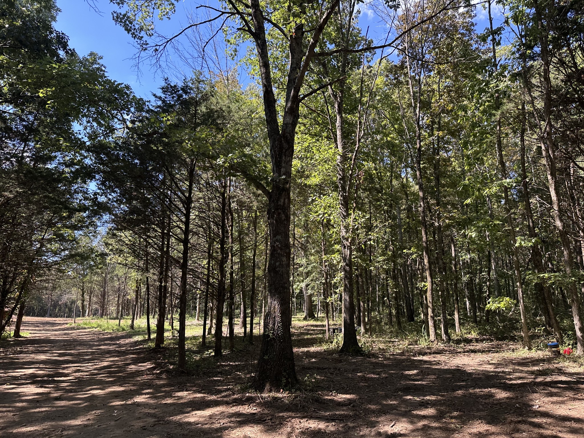 0 Atkinson Road Lebanon, TN 37090 - Photo 14 of 53 a view of street with trees