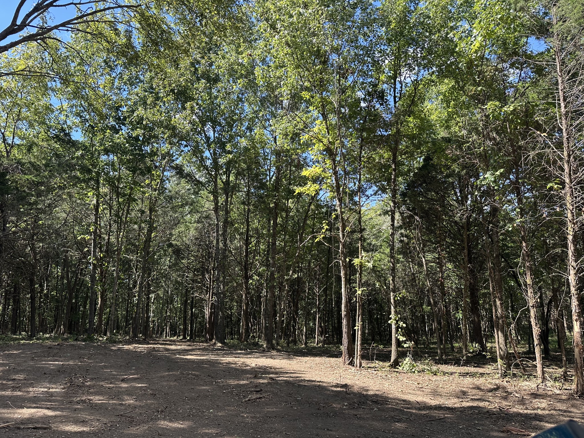 0 Atkinson Road Lebanon, TN 37090 - Photo 15 of 53 a view of a house with a trees