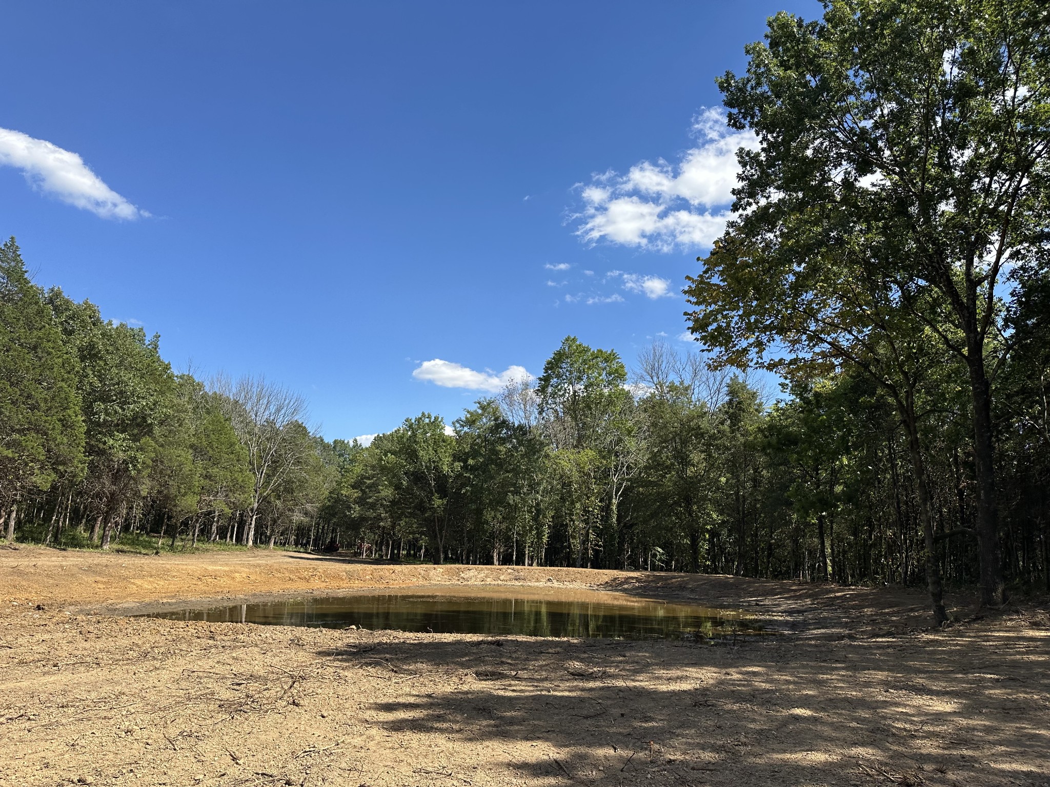 0 Atkinson Road Lebanon, TN 37090 - Photo 16 of 53 a view of a yard with a large tree