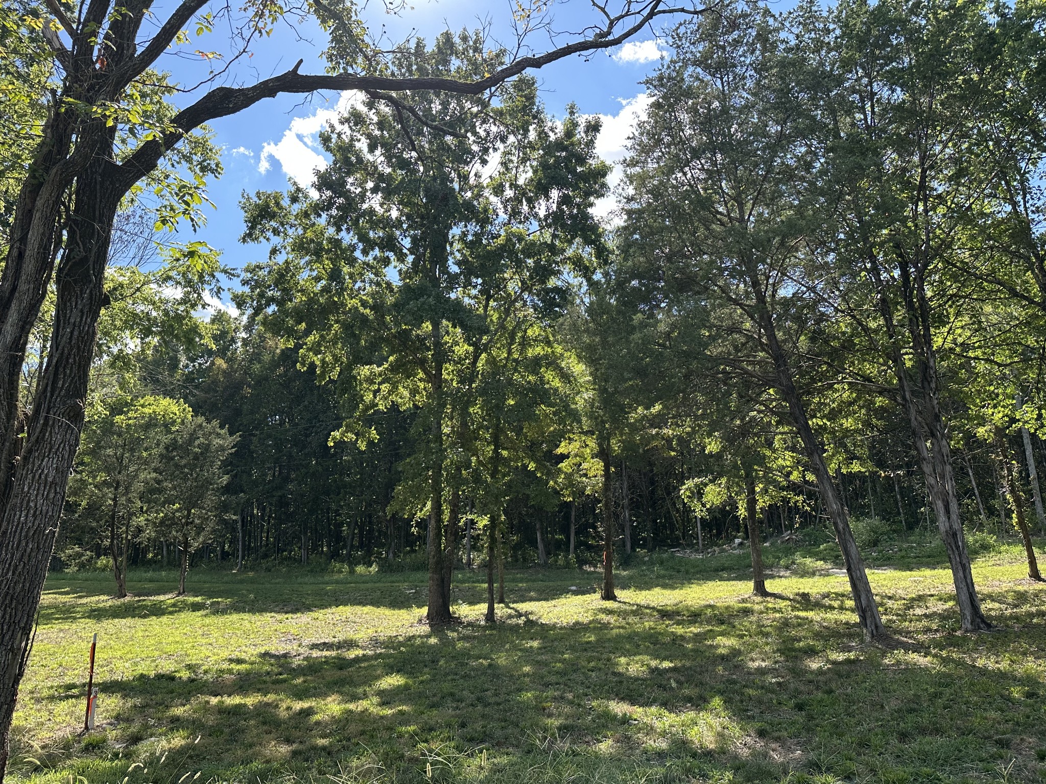 0 Atkinson Road Lebanon, TN 37090 - Photo 19 of 53 a view of a yard with a tree