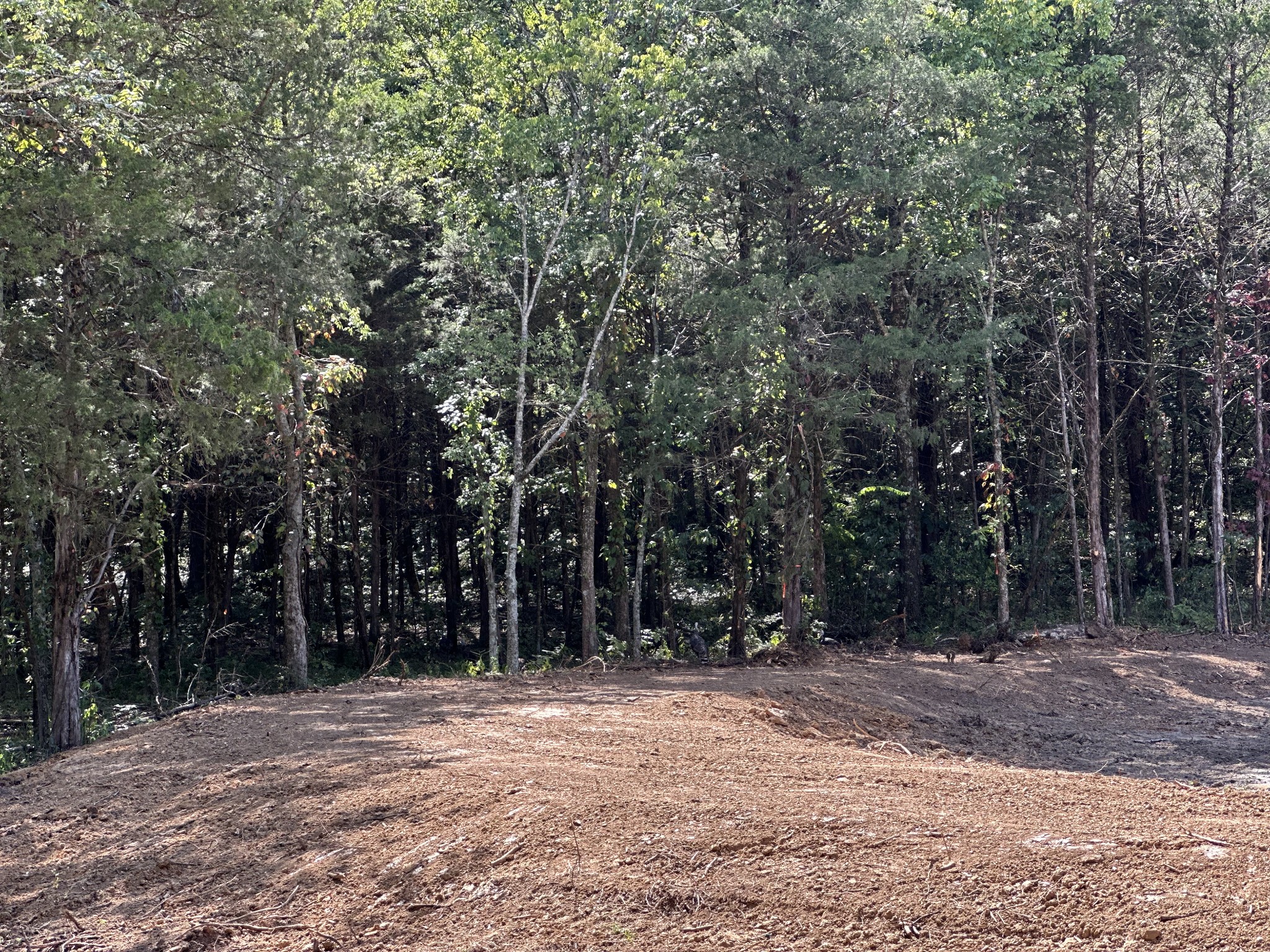 0 Atkinson Road Lebanon, TN 37090 - Photo 23 of 53 a view of outdoor space with trees