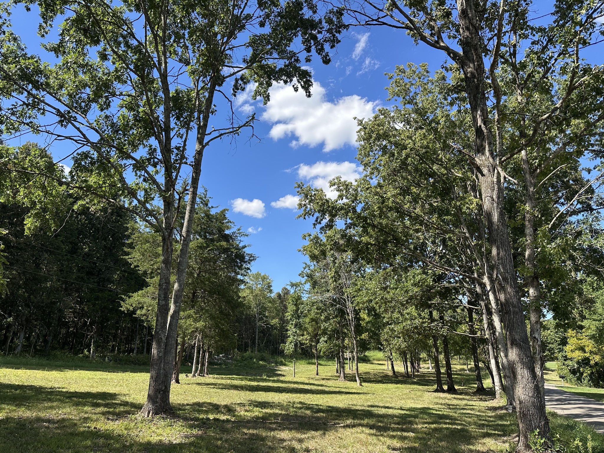 0 Atkinson Road Lebanon, TN 37090 - Photo 25 of 53 a view of a swimming pool with a yard