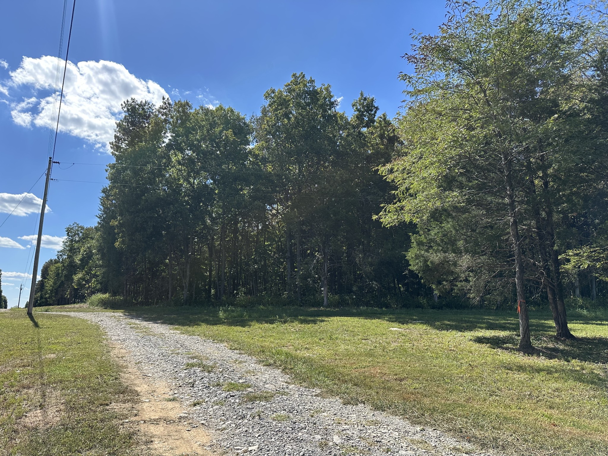 0 Atkinson Road Lebanon, TN 37090 - Photo 28 of 53 a view of a yard