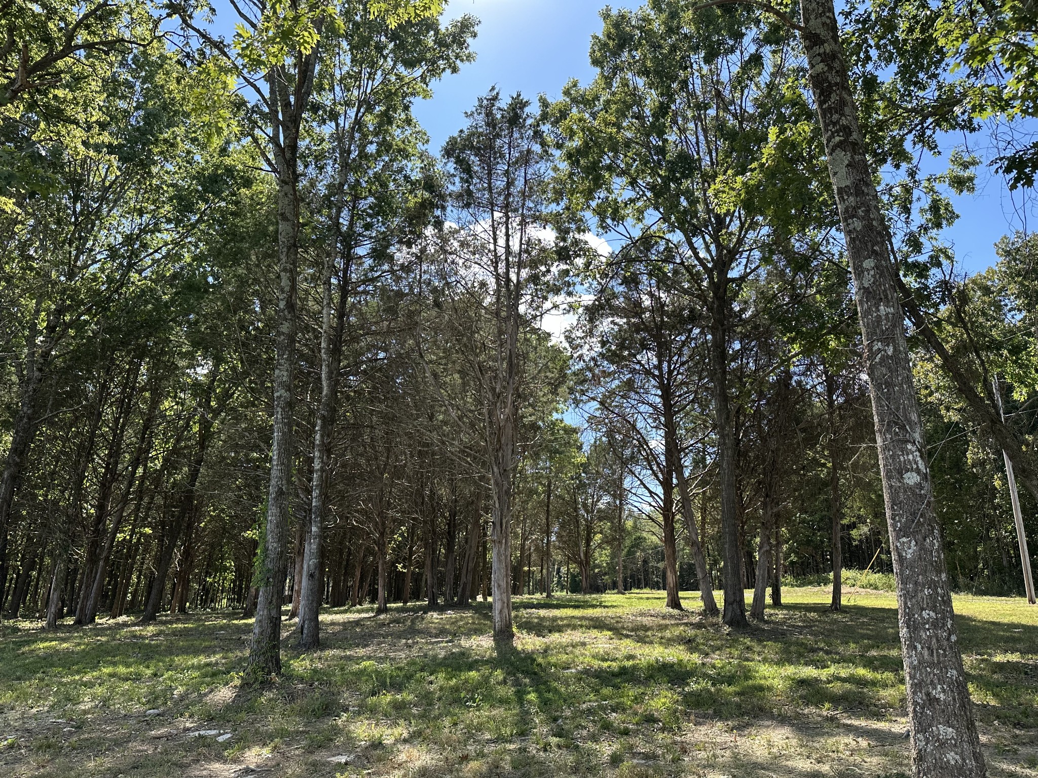 0 Atkinson Road Lebanon, TN 37090 - Photo 31 of 53 a view of park space