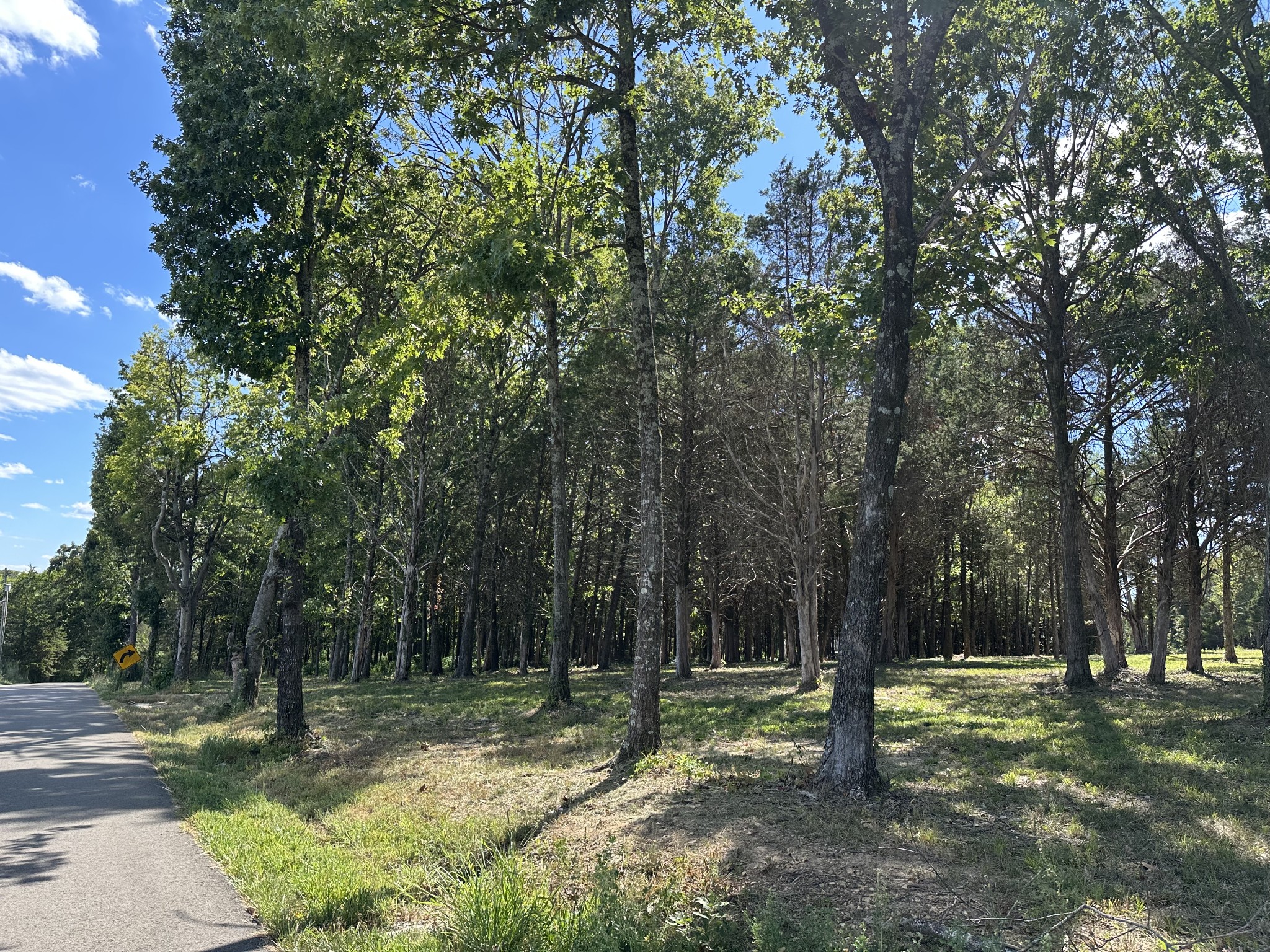 0 Atkinson Road Lebanon, TN 37090 - Photo 32 of 53 a view of outdoor space with trees