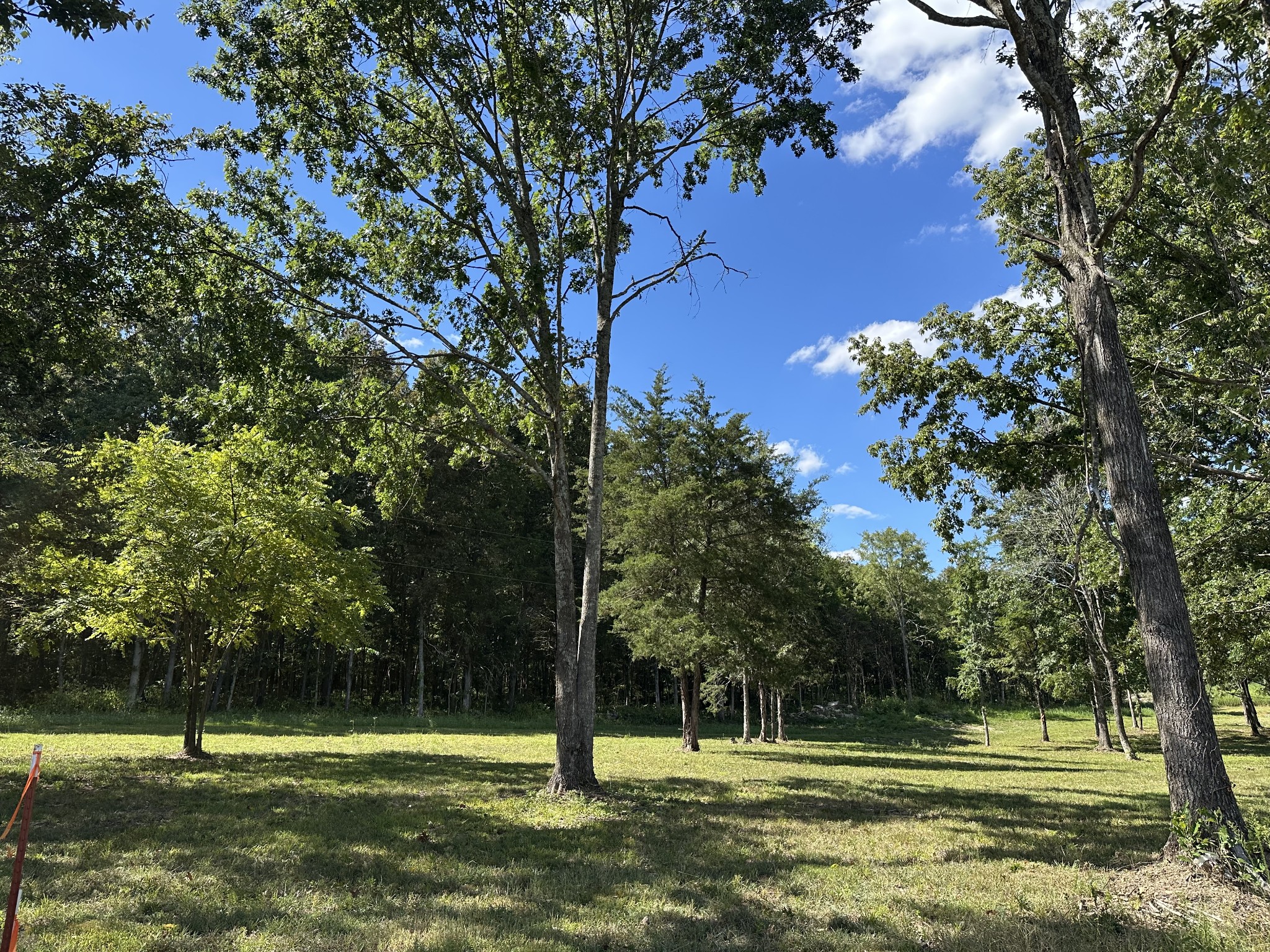 0 Atkinson Road Lebanon, TN 37090 - Photo 33 of 53 a view of a park