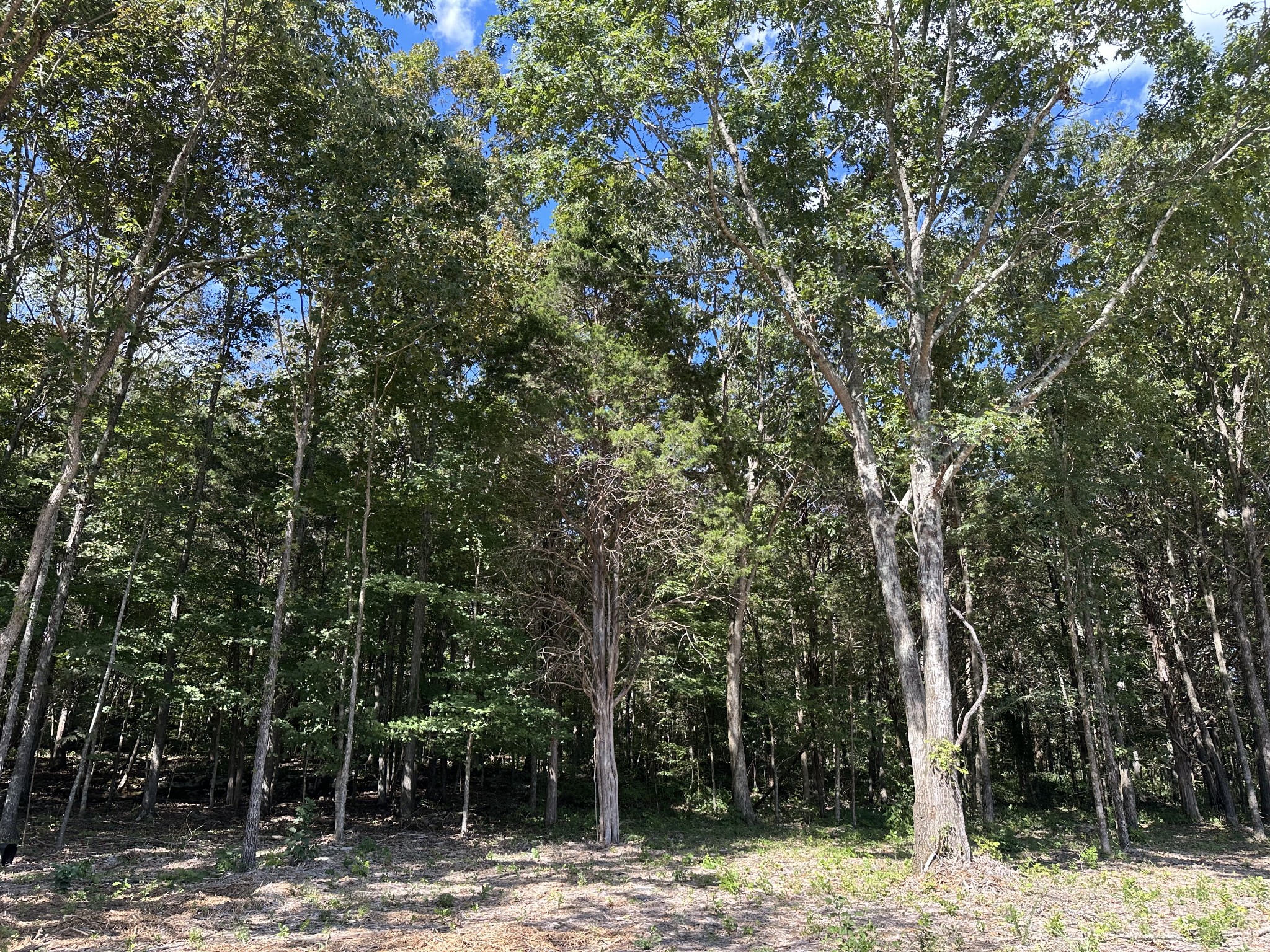 0 Atkinson Road Lebanon, TN 37090 - Photo 34 of 53