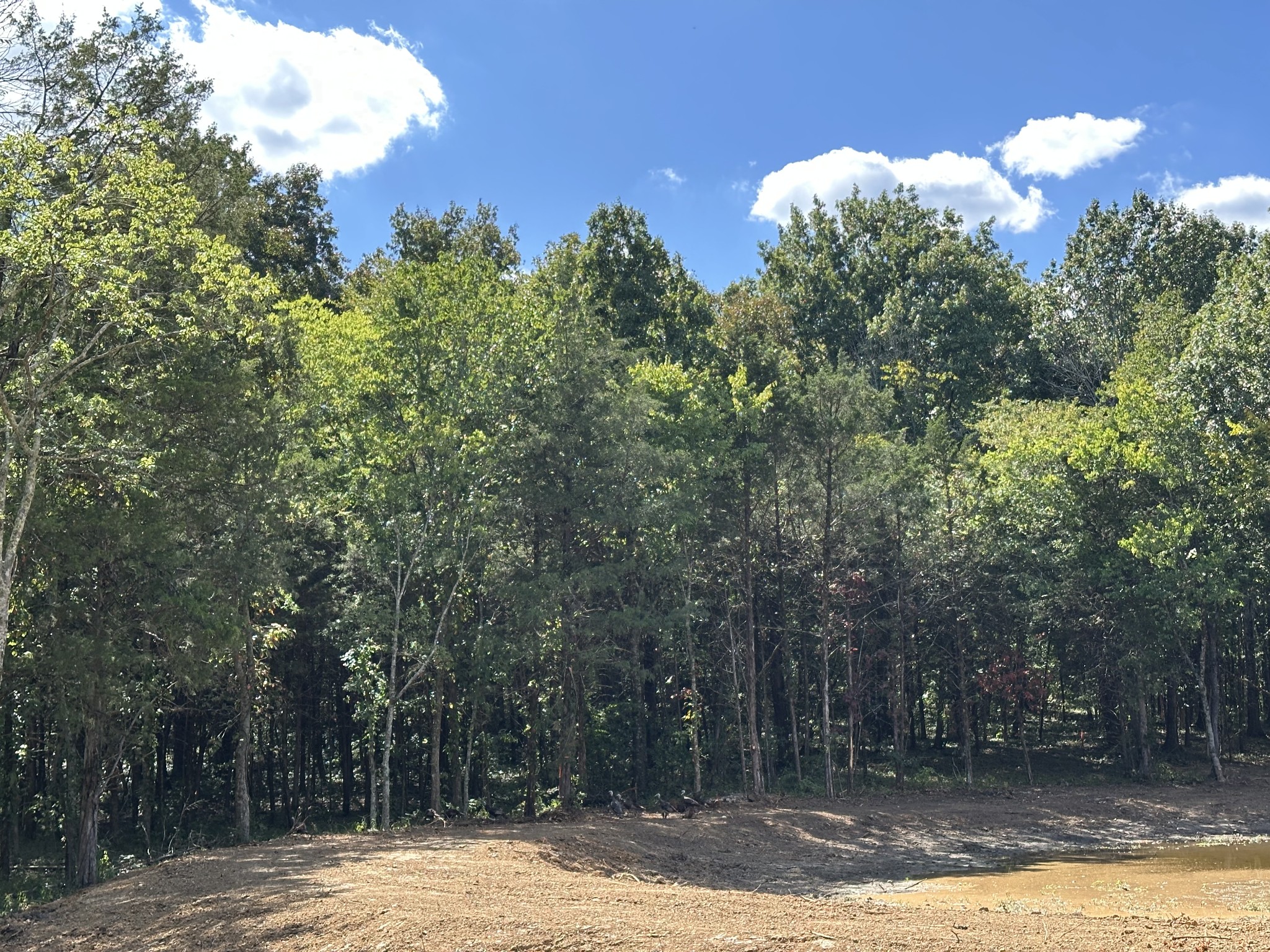 0 Atkinson Road Lebanon, TN 37090 - Photo 4 of 53 a view of a house with a tree and yard