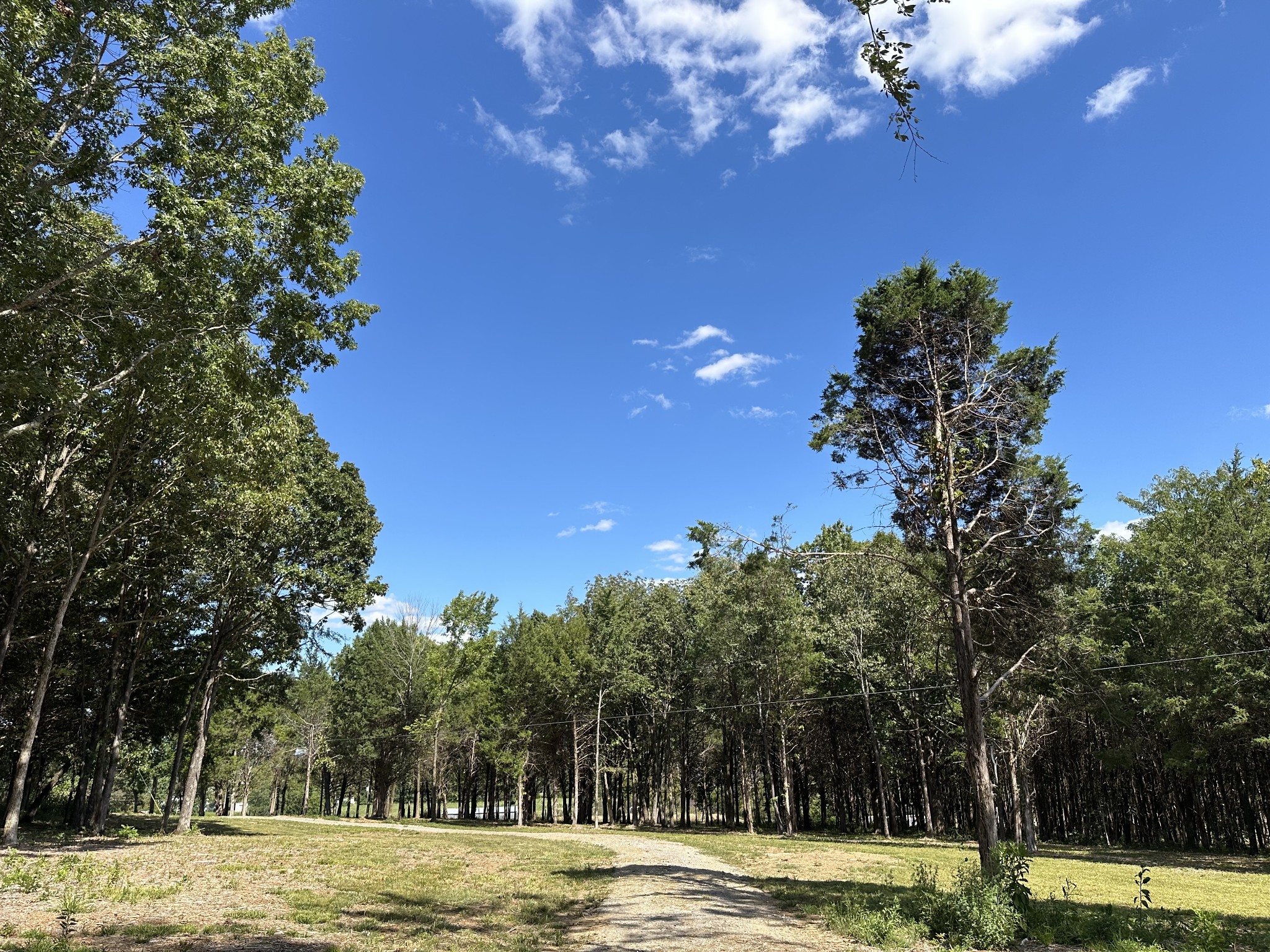 0 Atkinson Road Lebanon, TN 37090 - Photo 8 of 53 a view of a yard with a tree