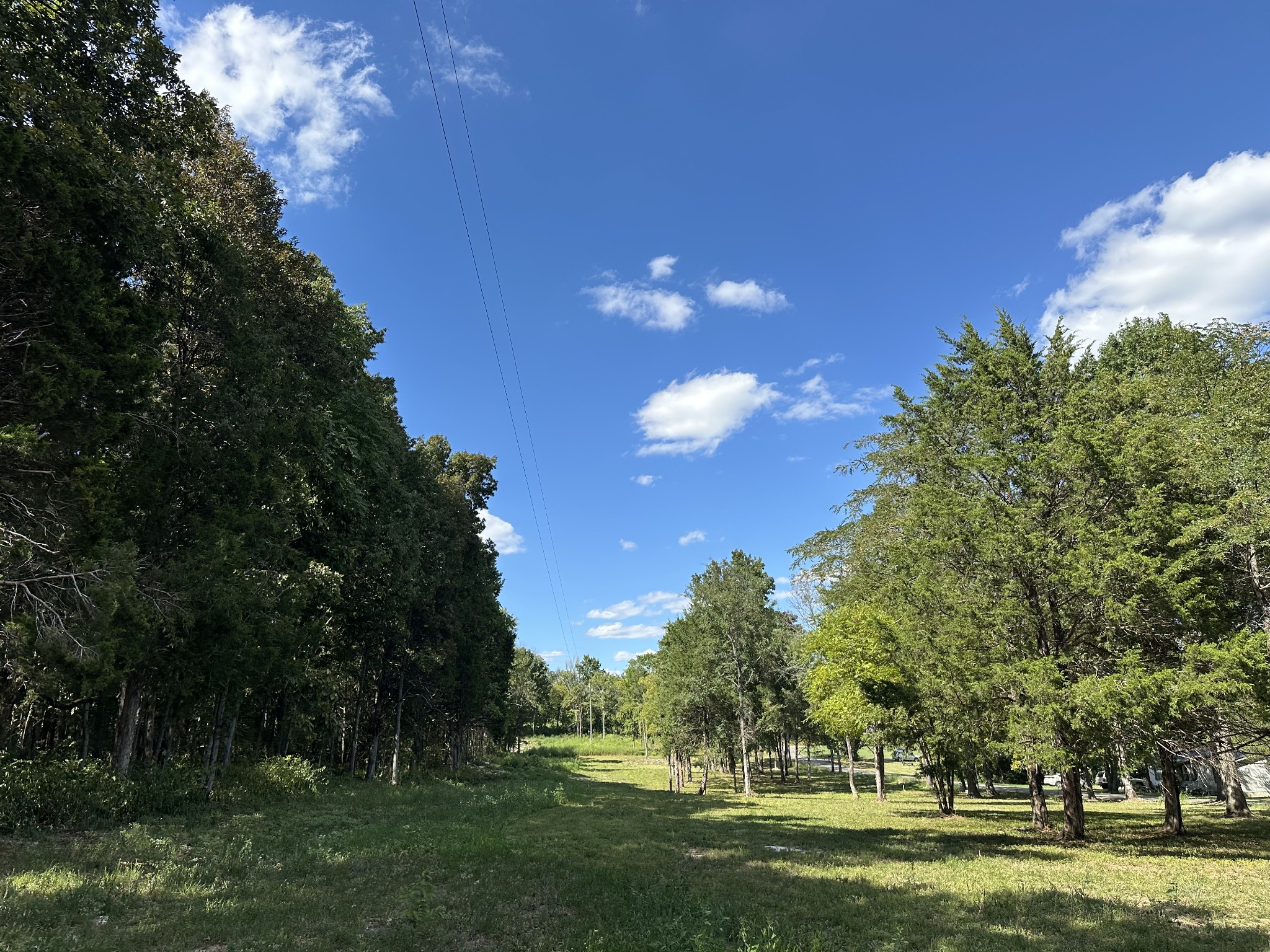 0 Atkinson Road Lebanon, TN 37090 - Photo 9 of 53 a view of a golf course with a trees