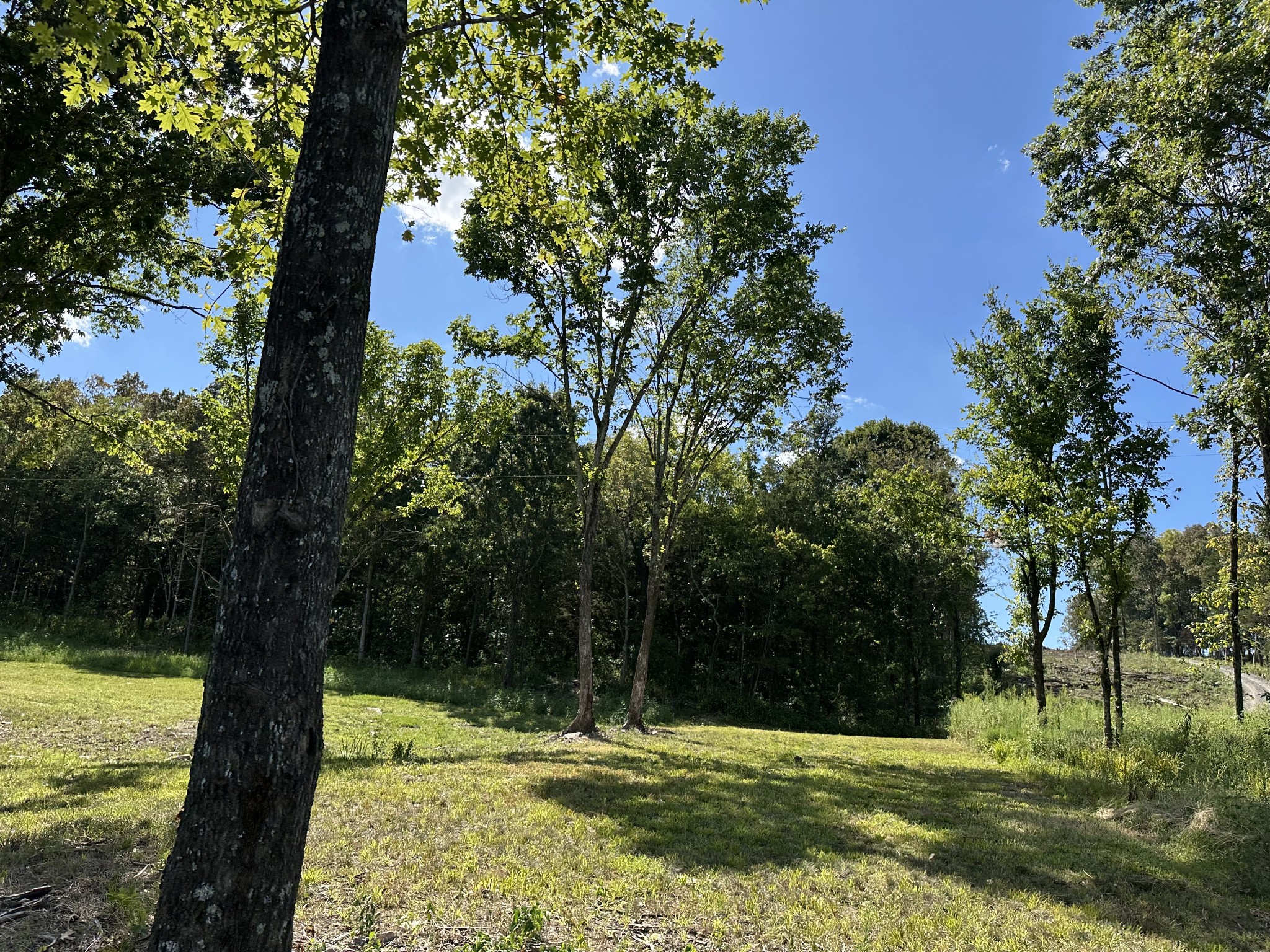 0 Atkinson Road Lebanon, TN 37090 - Photo 10 of 53 a view of a tree in a yard