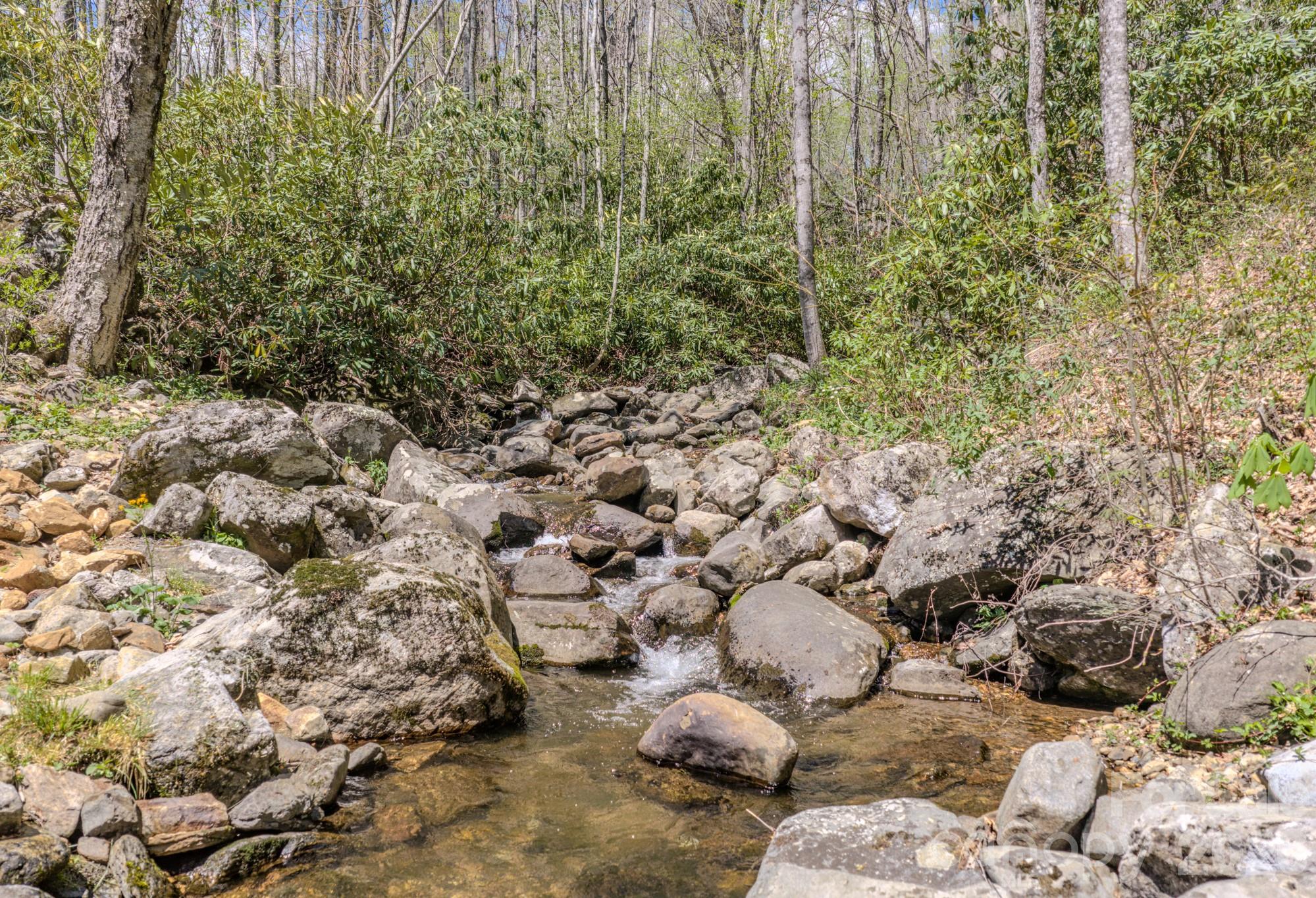426 Cook Town Road Bakersville, NC 28705 - Photo 39 of 42